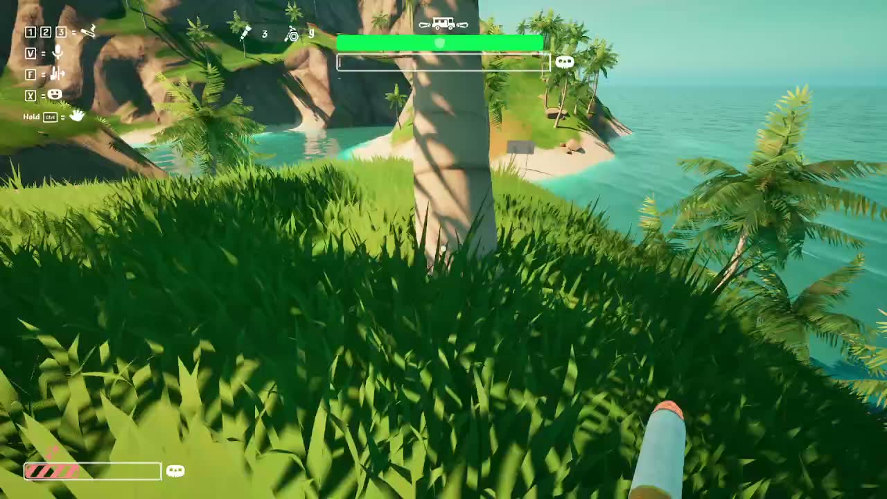 Stream preview